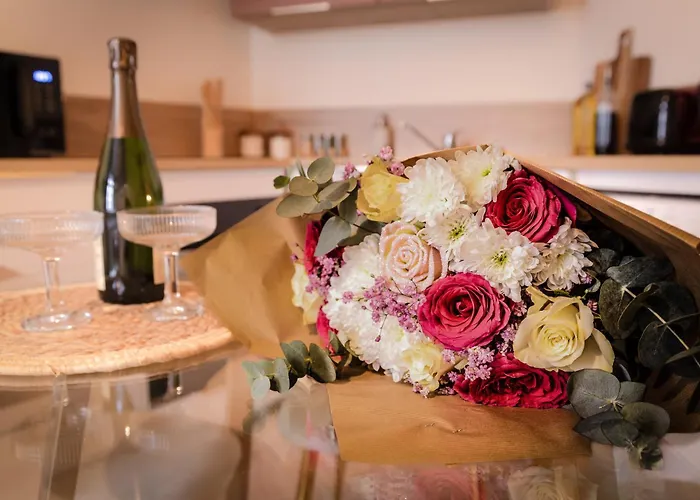 Апартаменты La Parenthese Yssoirienne - Balneo - Videoprojecteur